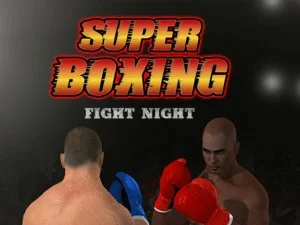 Super Boxing Fight Night